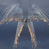 Brad Davis's photo