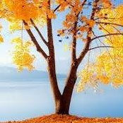 Alexandra Khramova's photo