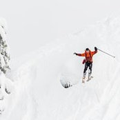 Ian Stotesbury's photo