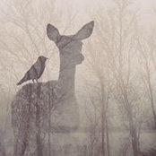 Carol Knott's photo