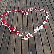 Vesna Nikolic's photo