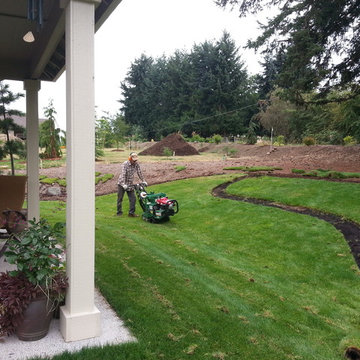 EDGECLIFF LANDSCAPE MAKEOVER