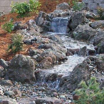 Water Features