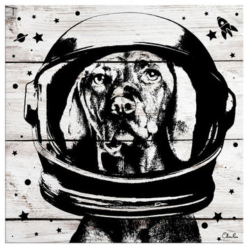 Ready2HangArt 'Space Dog' Wrapped Canvas Animal Wall Art, 30"x30"