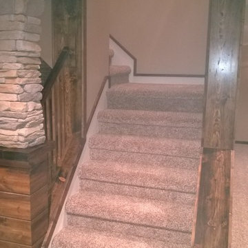 Before Pictures Fox Basement
