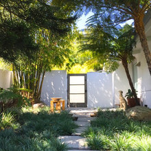Backyard Ideas