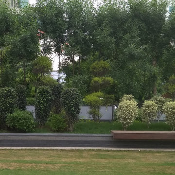 Dainik Bhaskar Office Building Soft Landscaping in Noida