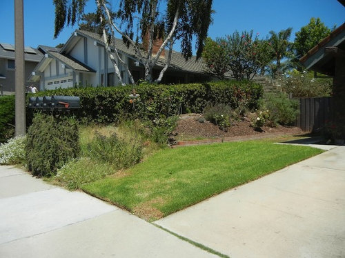 Advice for front yard waterwise re-do in Southern CA