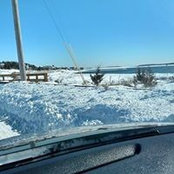 Donna Goudreau's photo