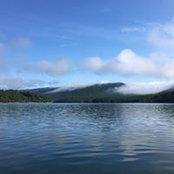 Nikki Vincent's photo