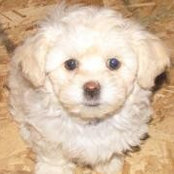 Laurie Beadle's photo