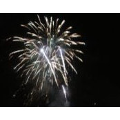 Liz Rosen's photo