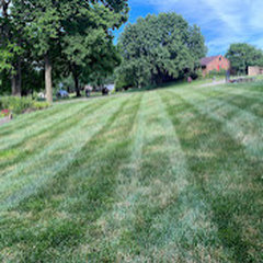 Refreshed Landscaping