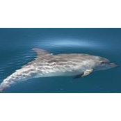 Brad Kelly's photo