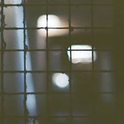 Vincent Collard's photo