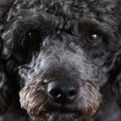 Lisa Klostermann's photo