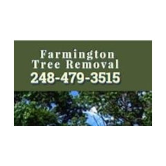 Farmington Tree Removal