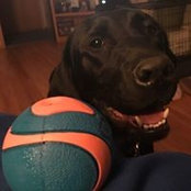 Dawn Brehmer's photo