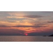 Andrew Murphy's photo