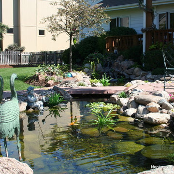 Koi Ponds and Water Gardens