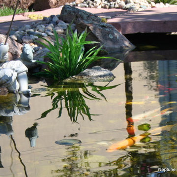 Koi Ponds and Water Gardens