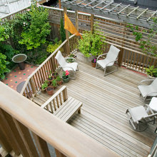 Murray Hill Backyard