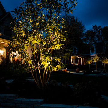 Nighttime Nuance with Landscape Lighting
