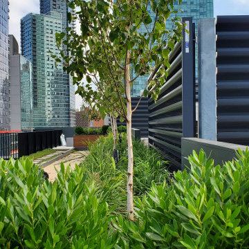 Ipe Roofdeck Condo Common Area Long Island City, NY