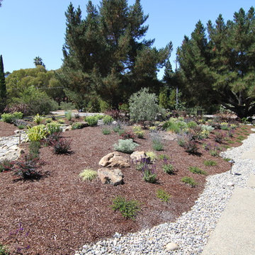 Los Altos Dry Creek Bed