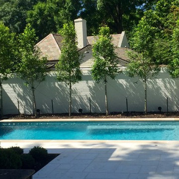 Elegant outdoor audio system for around the pool