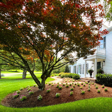 New Year | New Yard | New You