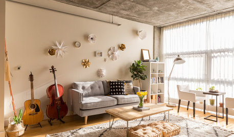 Tiny Houzz: Fashion Pro Brings DIY Charm to a 67-Sq-Mt Flat