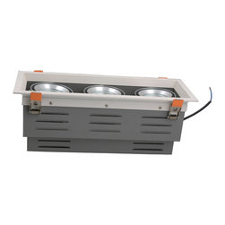 LED down light - Ceiling Lighting