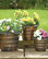 Beehive Bronze Planters, 3-Piece Set