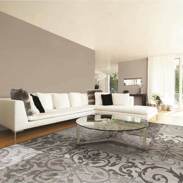 Area Rug Collection