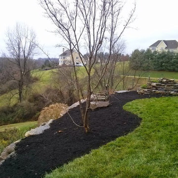 Feng Shui Garden