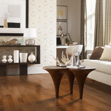 Living Room Room Scenes