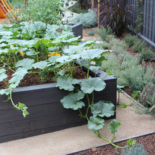 Landscape Ideas