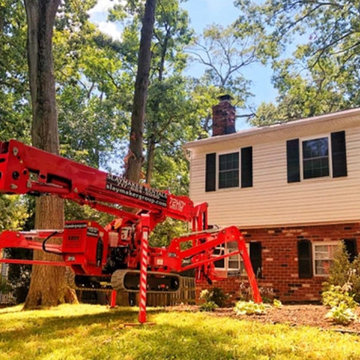 Tree Service