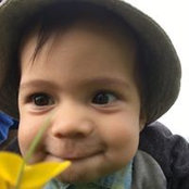Tom Priestley's photo