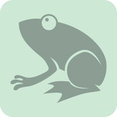 Floor Frog's profile photo