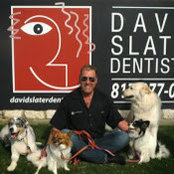 David Slater's photo