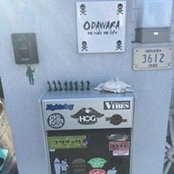 Ryo Odawara's photo