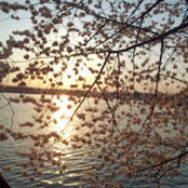 Anya K's photo