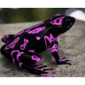 Corie Martin's photo