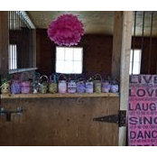 Marla Morin's photo