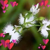 Tessa Ranalan's photo