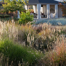 Landscape Ideas