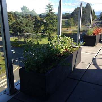 Patio James Bay