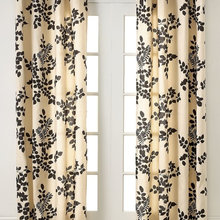 curtain